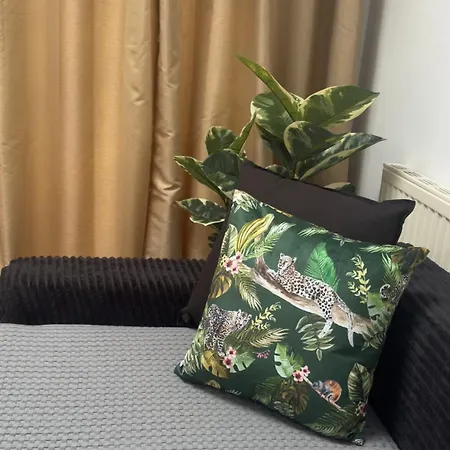 Small Comfortable, Sheared House Pansiyon