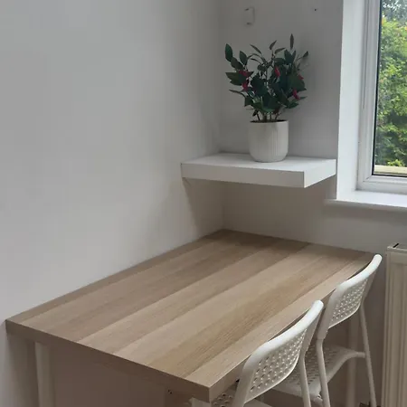 Small Comfortable, Sheared House Pansiyon Bristol